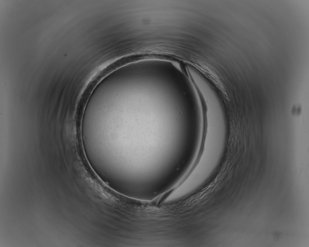 X0000090780784200708031714