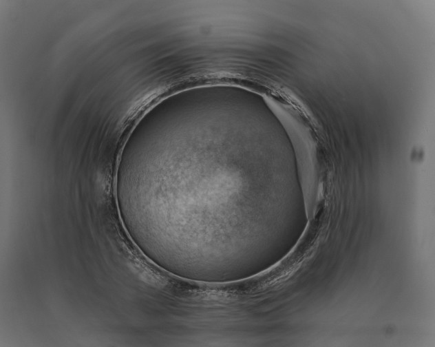 X0000090780785200708031714