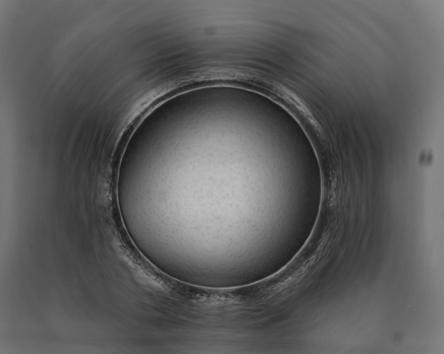 X0000090780786200708031714