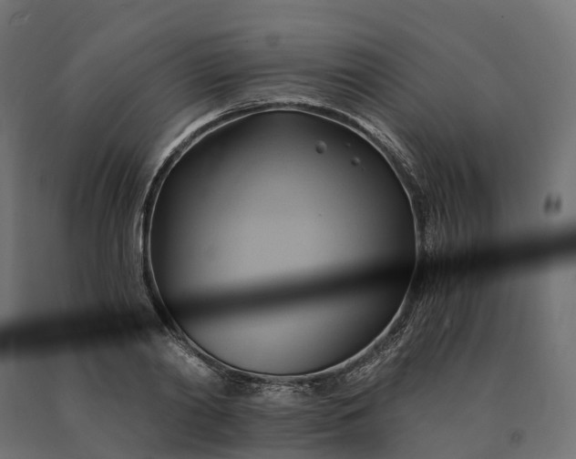 X0000090780790200708031714