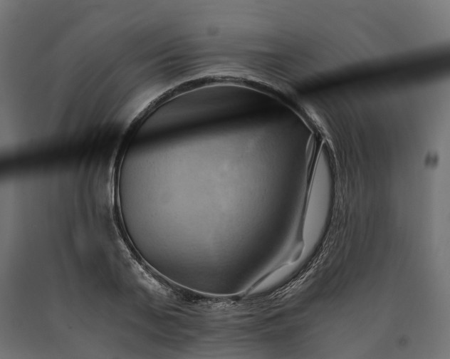X0000090780791200708031714
