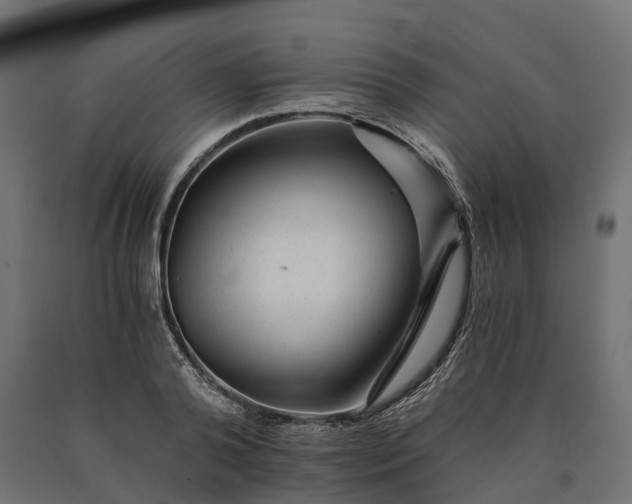 X0000090780792200708031714