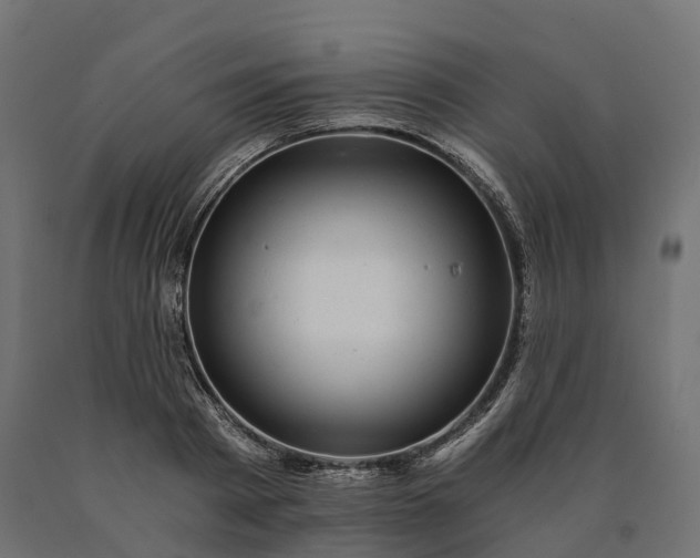 X0000090780793200708031714