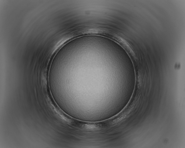 X0000090780794200708031714