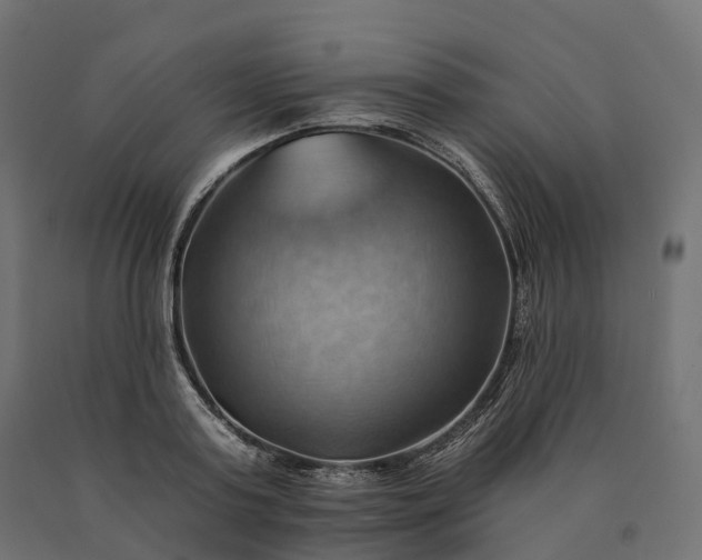 X0000090780795200708031714