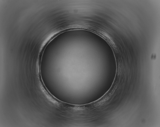 X0000090780796200708031714