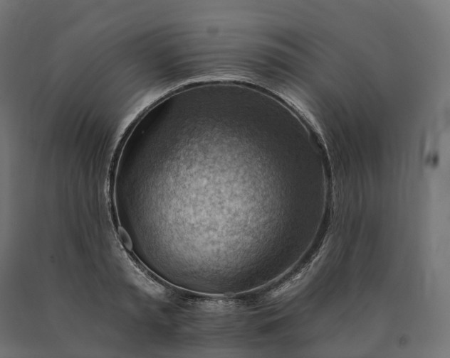X0000090780797200708031713