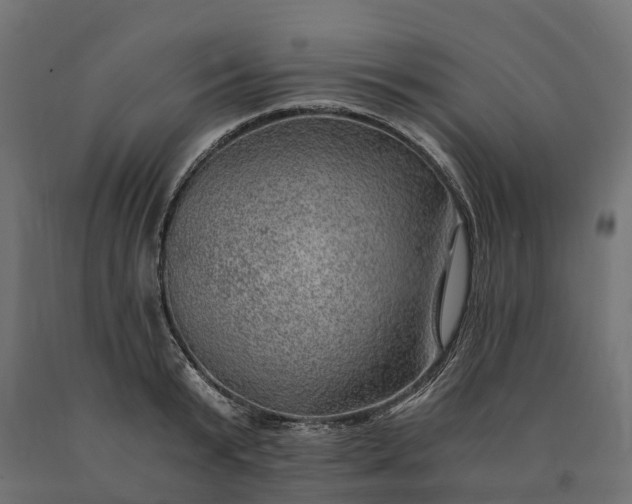 X0000090780799200708031713