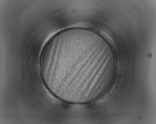 X0000090780800200708031713