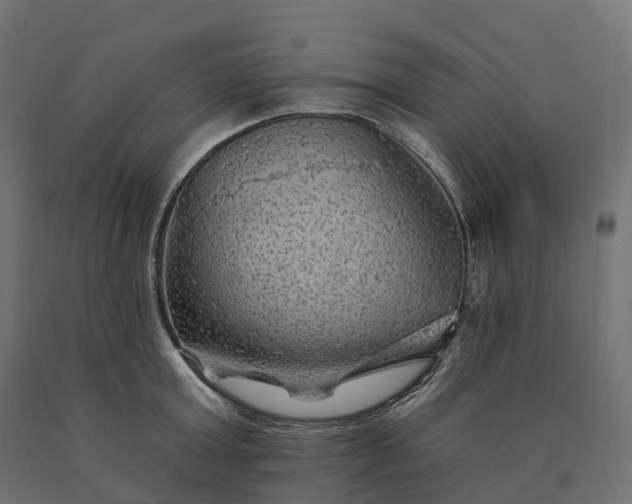 X0000090780803200708031713