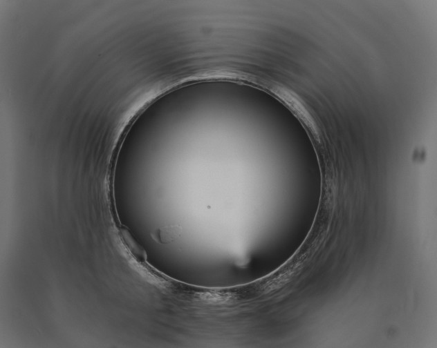 X0000090780805200708031713
