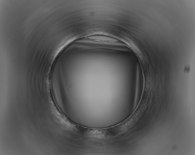 X0000090780806200708031713