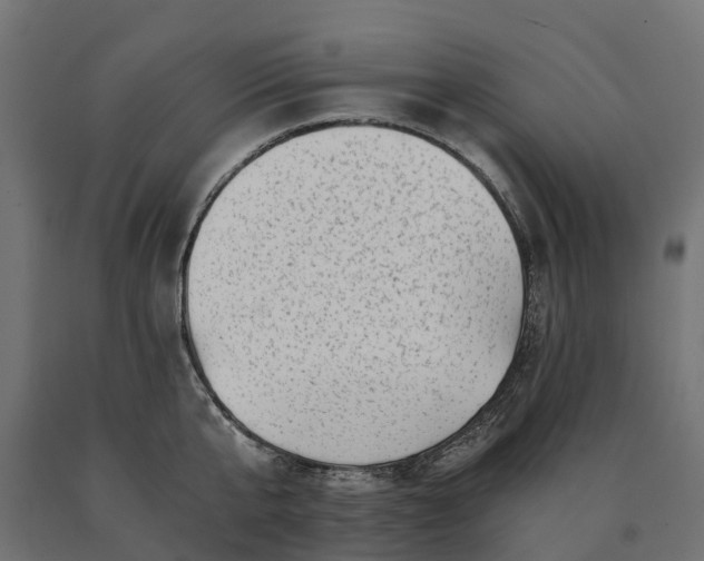 X0000090780807200708031713