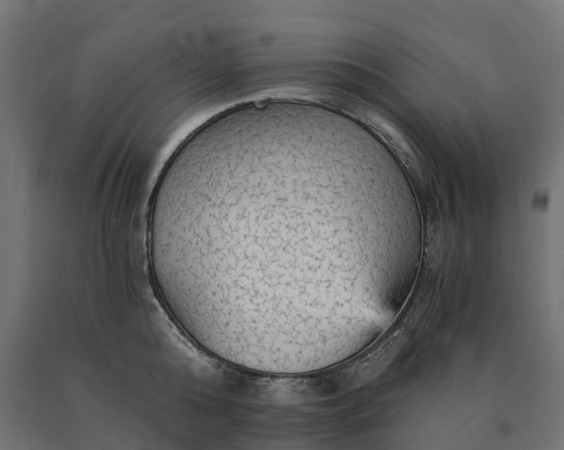 X0000090780808200708031713