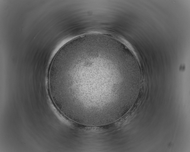 X0000090780811200708031713
