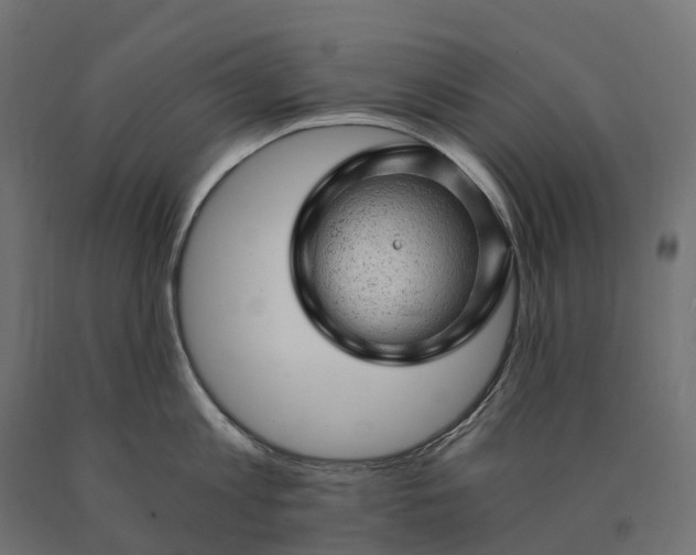 X0000090780813200708031713