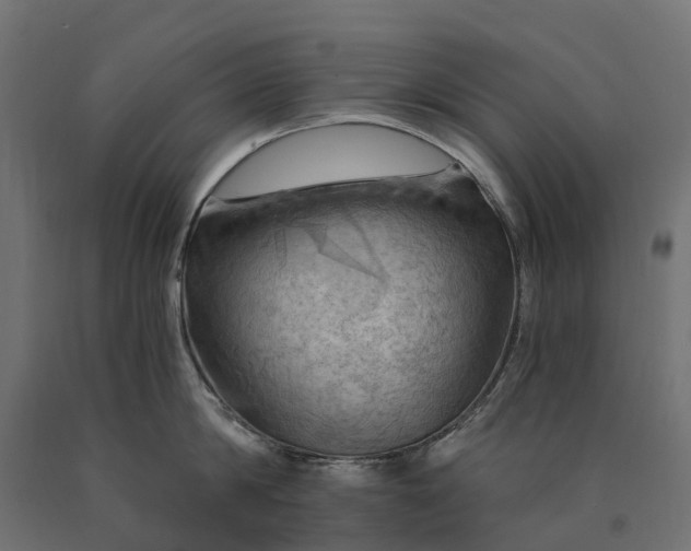 X0000090780814200708031713