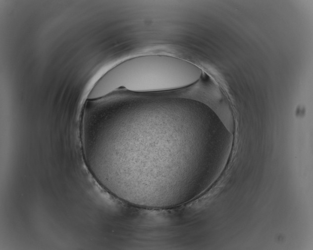 X0000090780816200708031713