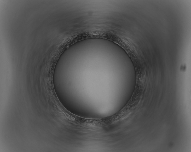 X0000090780817200708031713
