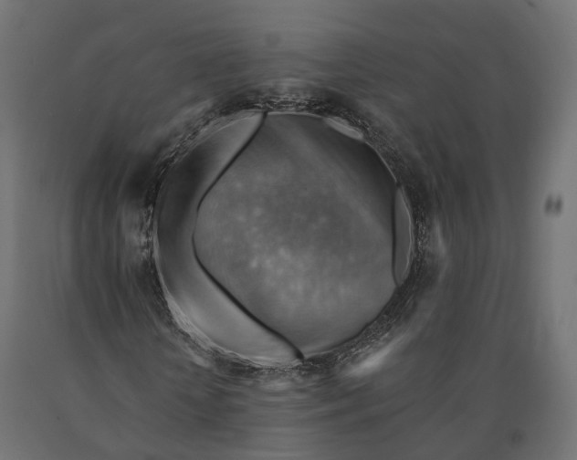 X0000090780818200708031713