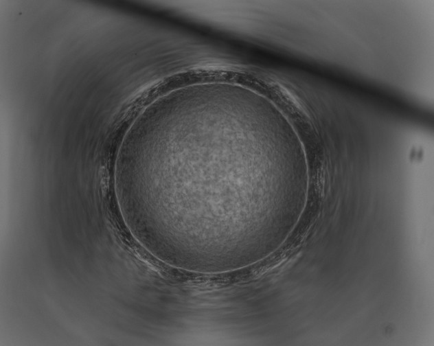 X0000090780821200708031713
