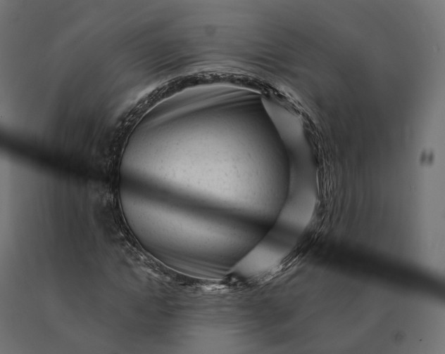 X0000090780822200708031713