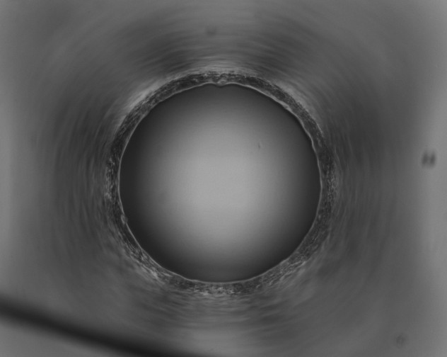 X0000090780823200708031713
