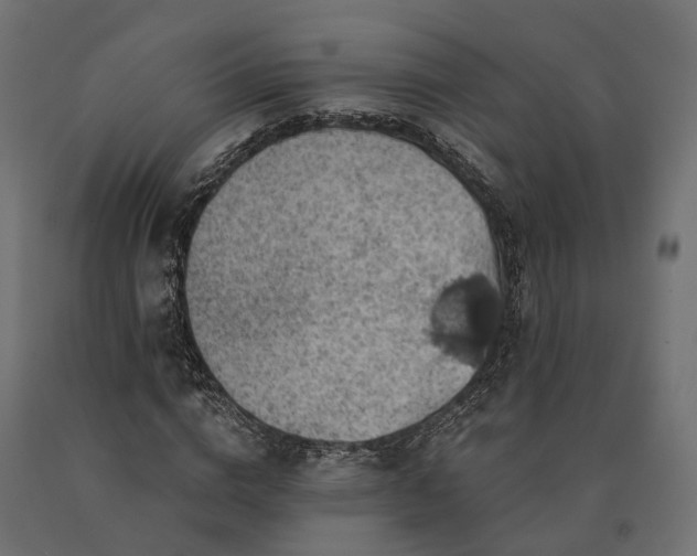 X0000090780824200708031713
