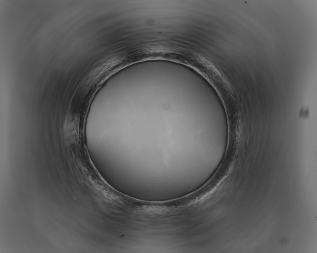 X0000090780825200708031713