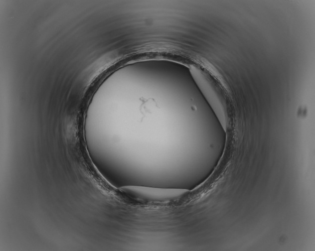X0000090780826200708031713