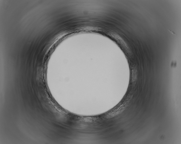 X0000090780828200708031713