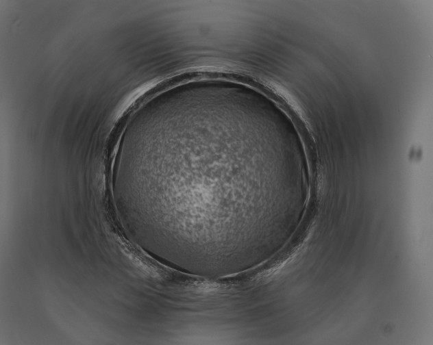 X0000090780829200708031713