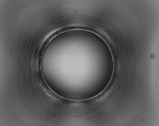 X0000090780830200708031713