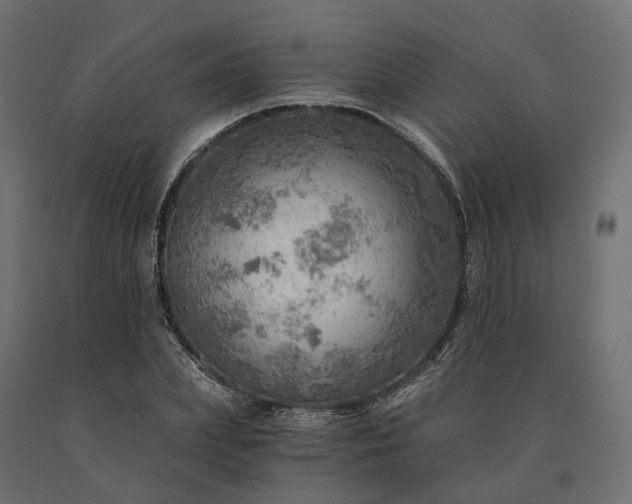 X0000090780831200708031713
