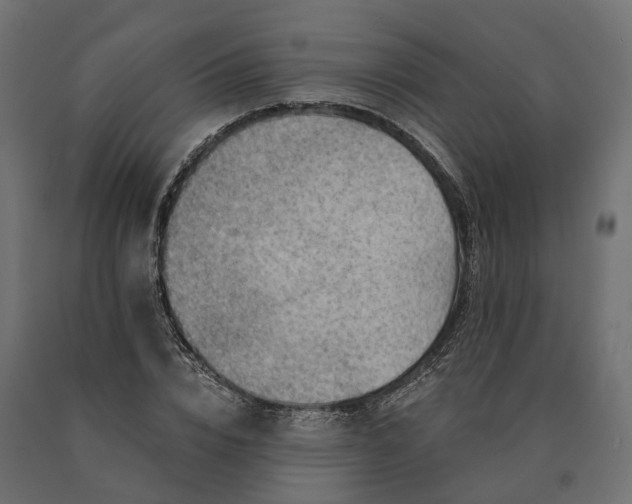 X0000090780832200708031713