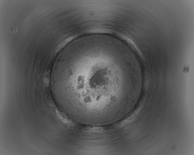 X0000090780833200708031713