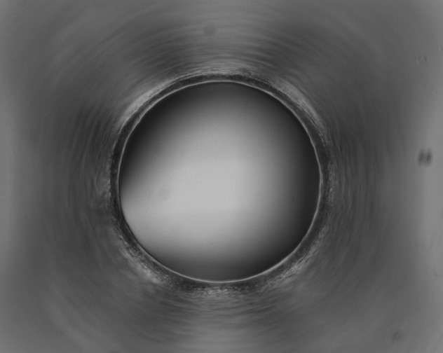X0000090780834200708031713