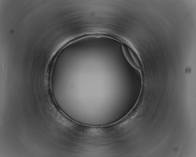 X0000090780835200708031713