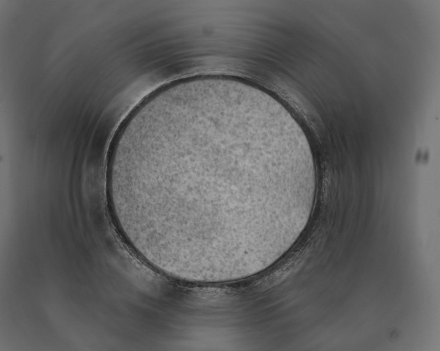 X0000090780836200708031713