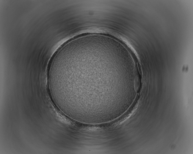 X0000090780837200708031713