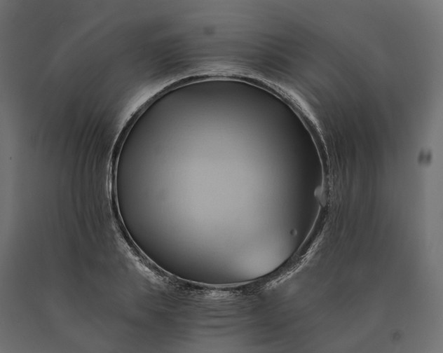 X0000090780839200708031713