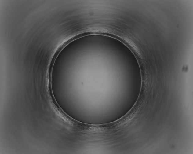 X0000090780840200708031713