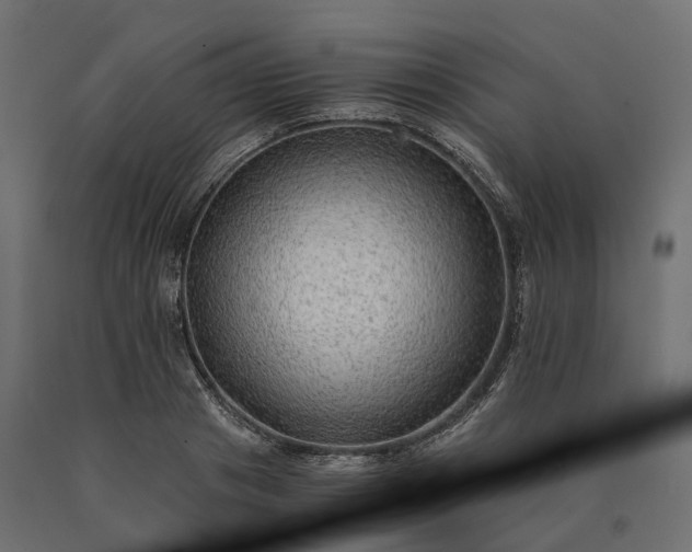 X0000090780841200708031713