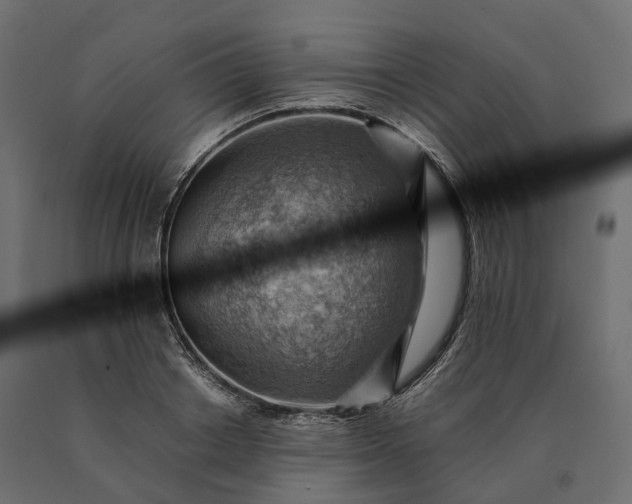 X0000090780842200708031713