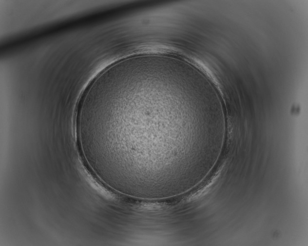 X0000090780843200708031713