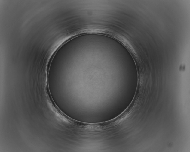 X0000090780844200708031713
