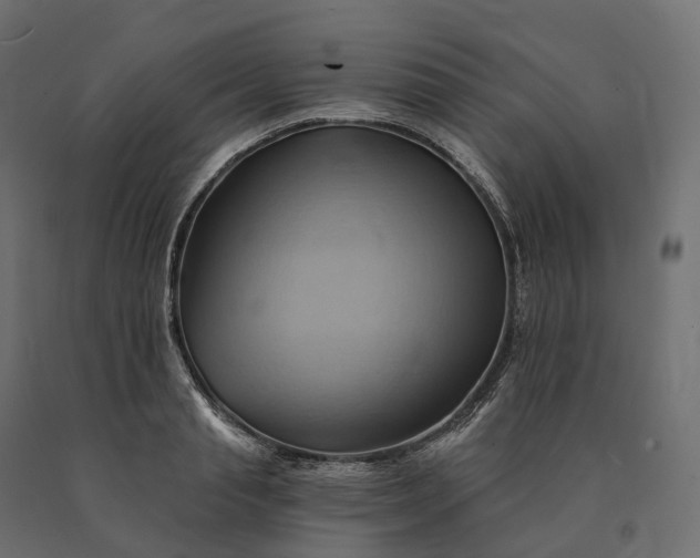 X0000090780845200708031713