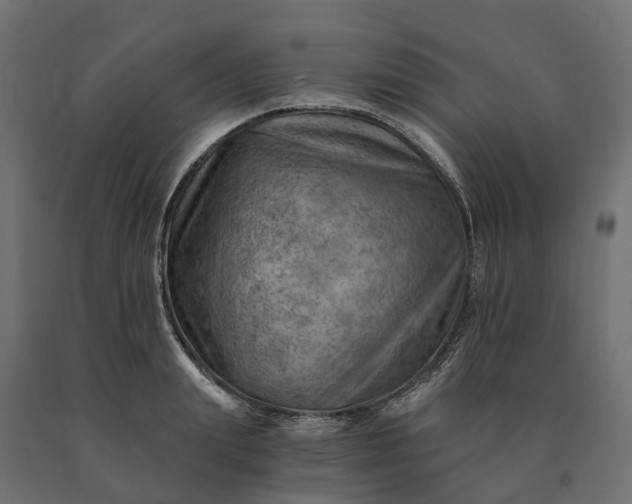 X0000090780847200708031713