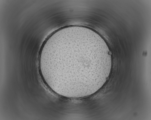 X0000090780848200708031713