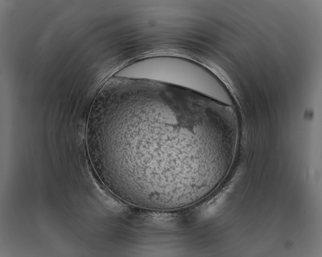 X0000090780849200708031713